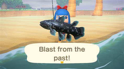 animal crossing coelacanth cheat.